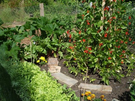 Grow_healthy_grow_smart_8 Grow_healthy_grow_smart_8